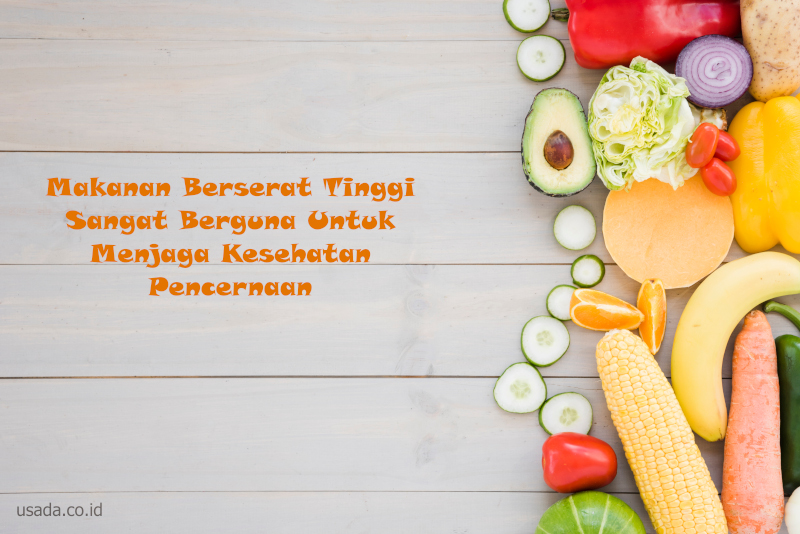 enzim pencernaan dan fungsinya