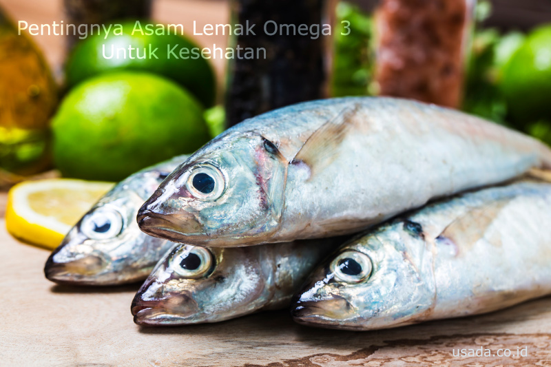 manfaat asam lemak omega 3 untuk kesehatan