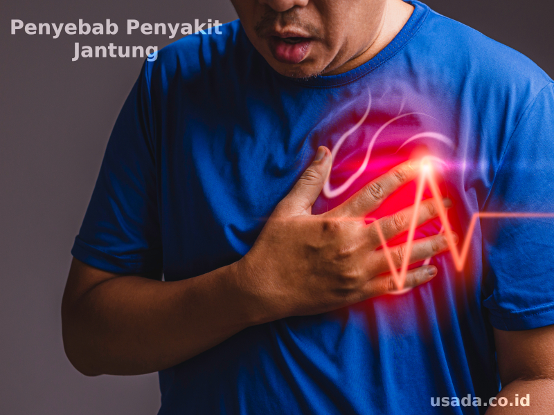 Faktor Penyebab Penyakit Jantung yang Perlu Diketahui