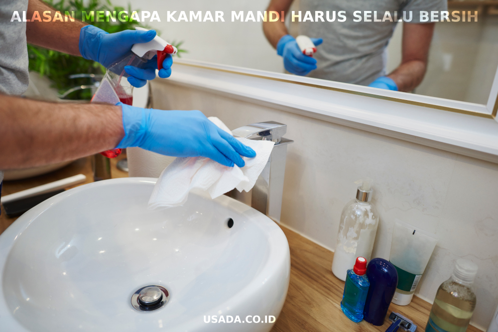 alasan mengapa kamar mandi harus selalu bersih